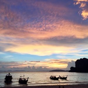 Meet your Posher, Analee